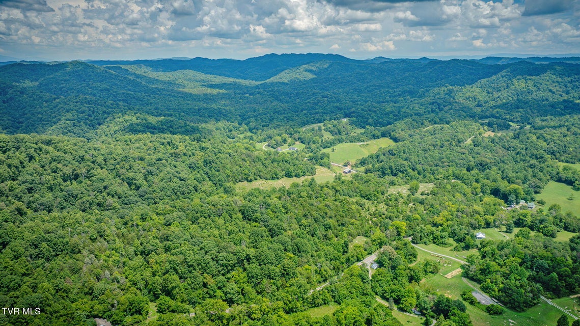 Photo #8: Tbd Bristol Highway