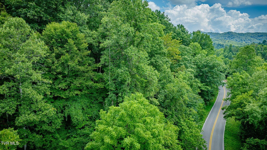 Photo #13: Tbd Bristol Highway