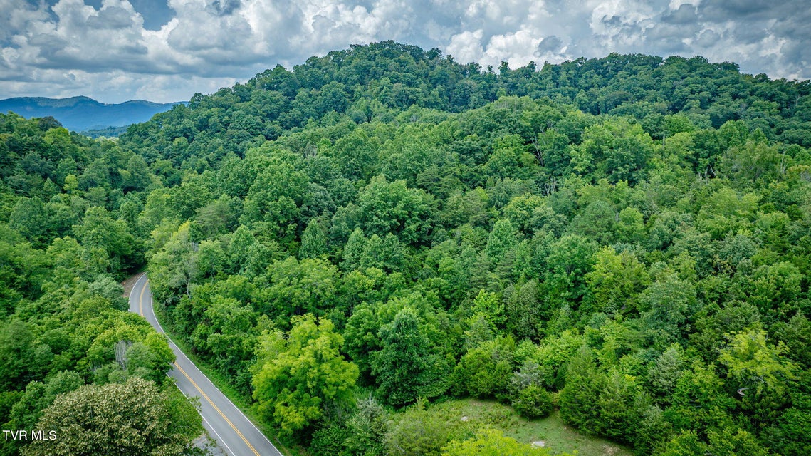 Photo #14: Tbd Bristol Highway