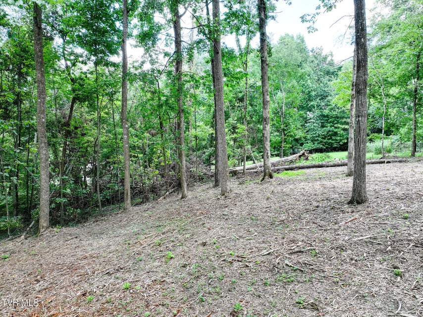 Photo #6: Lot 4r J Mell Johnson Road