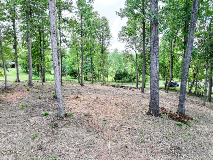 Photo #8: Lot 4r J Mell Johnson Road