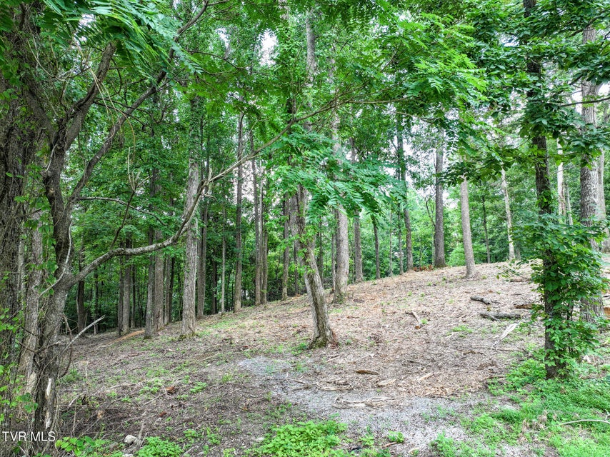 Photo #9: Lot 4r J Mell Johnson Road