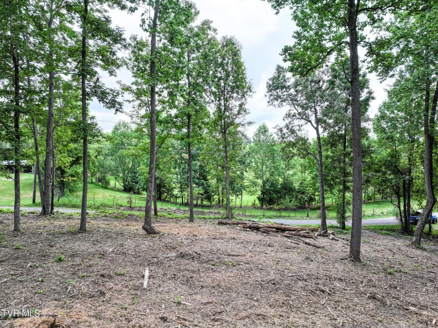 Photo #10: Lot 4r J Mell Johnson Road