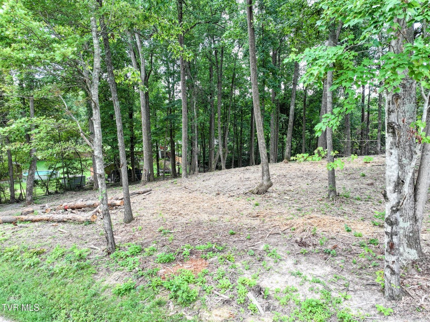Photo #11: Lot 4r J Mell Johnson Road