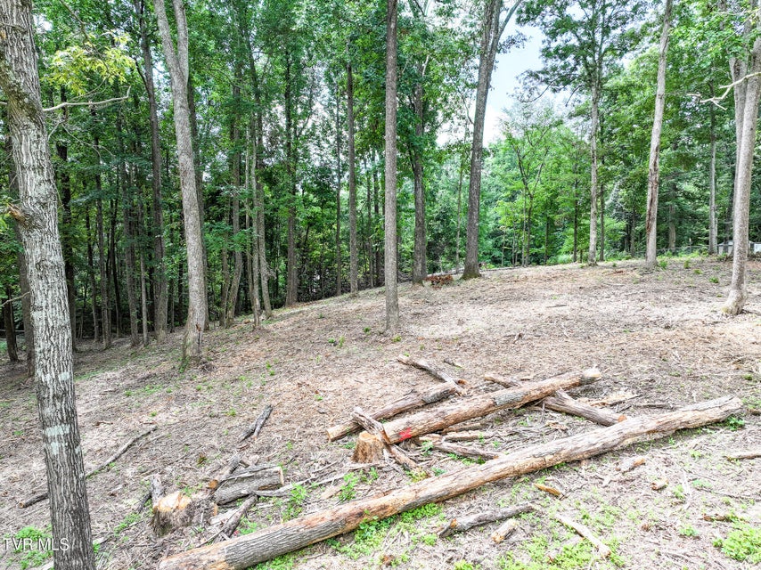 Photo #12: Lot 4r J Mell Johnson Road