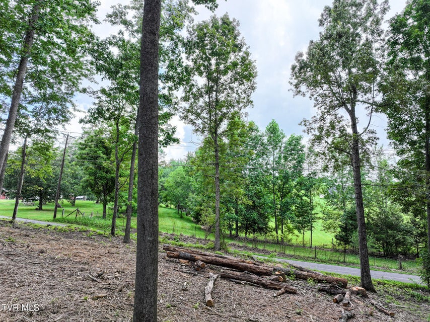 Photo #13: Lot 4r J Mell Johnson Road