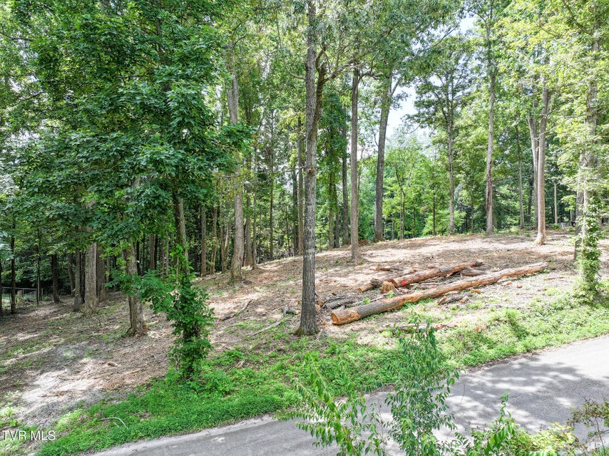 Photo #14: Lot 4r J Mell Johnson Road