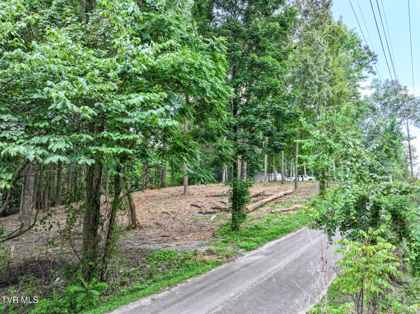Photo #15: Lot 4r J Mell Johnson Road