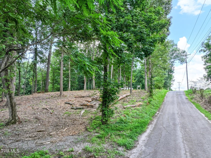 Photo #16: Lot 4r J Mell Johnson Road