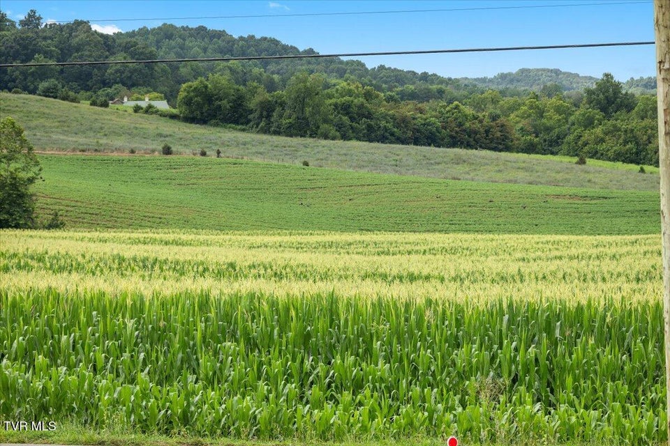 Photo #45: 589 Pleasant Valley Road