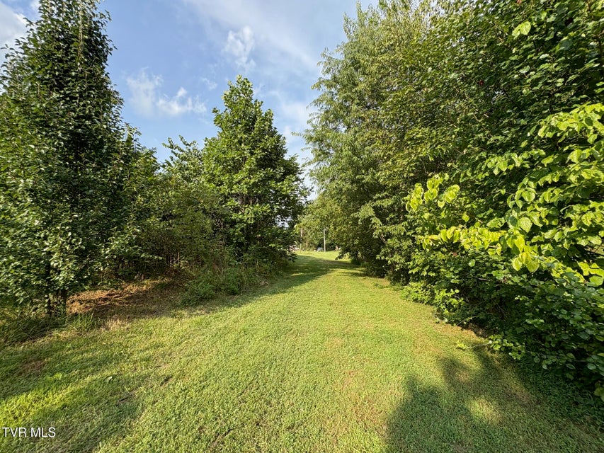 Photo #21: 345 Mount Wesley Road
