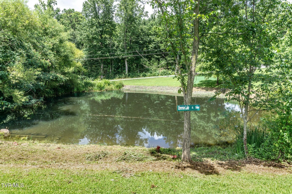 Photo #41: 153 Greene County Line Road