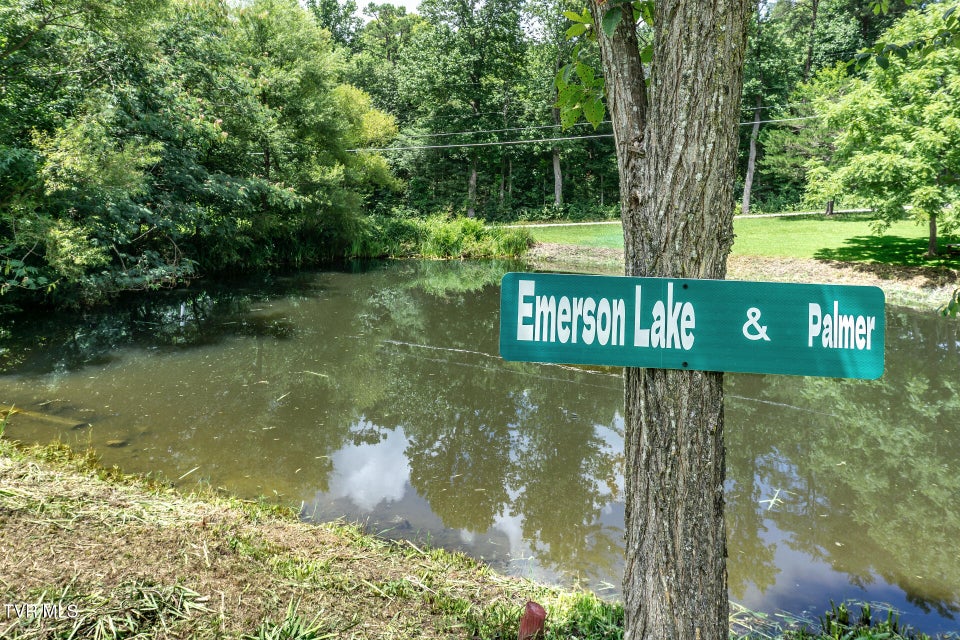 Photo #42: 153 Greene County Line Road