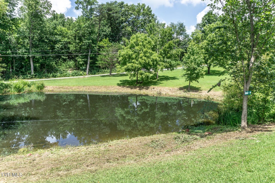 Photo #43: 153 Greene County Line Road
