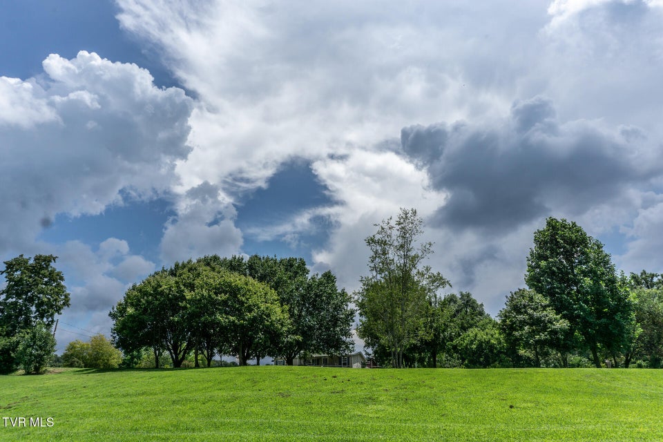 Photo #44: 153 Greene County Line Road