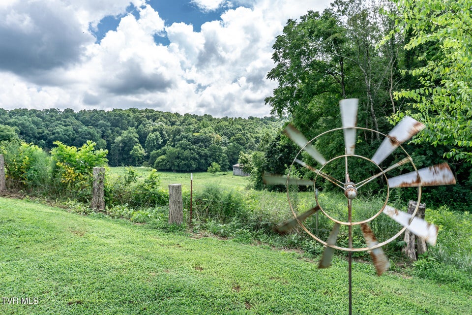 Photo #46: 153 Greene County Line Road