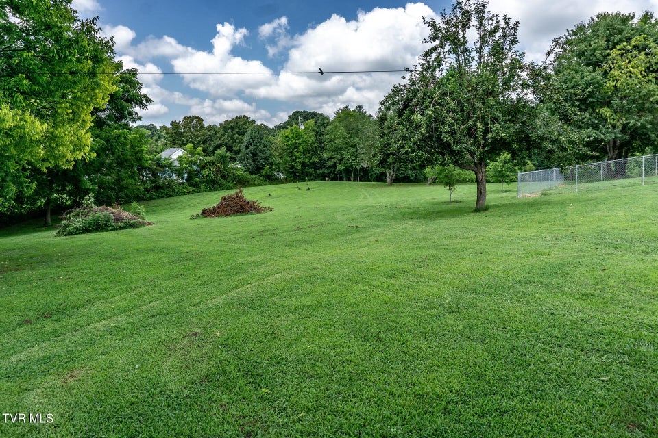 Photo #47: 153 Greene County Line Road