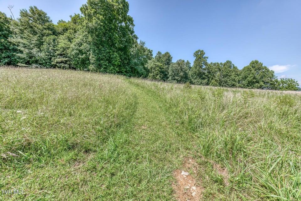 Photo #54: 250 Adams Road