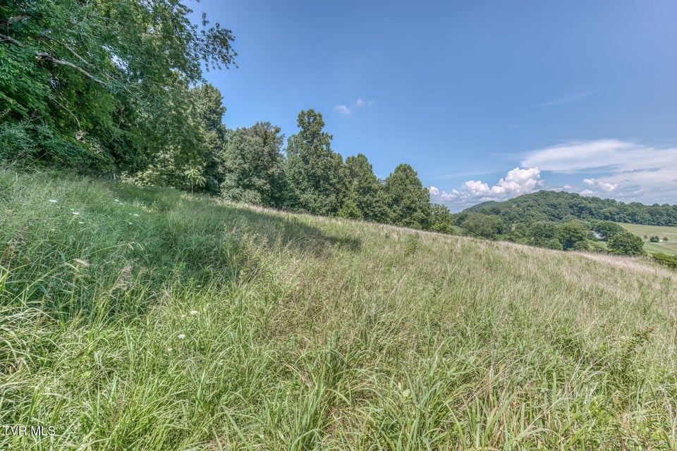 Photo #56: 250 Adams Road