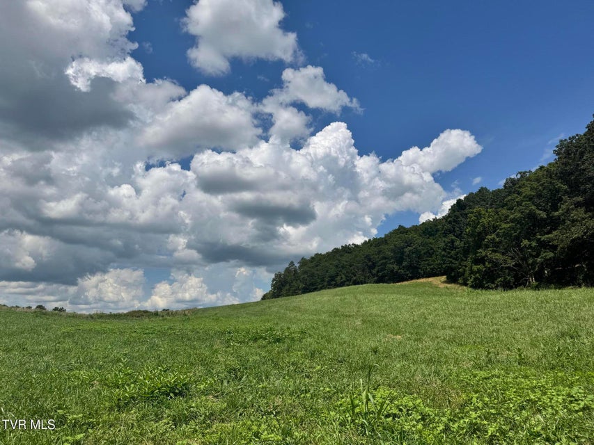 Photo #5: 0 Old Knoxville Hwy Highway