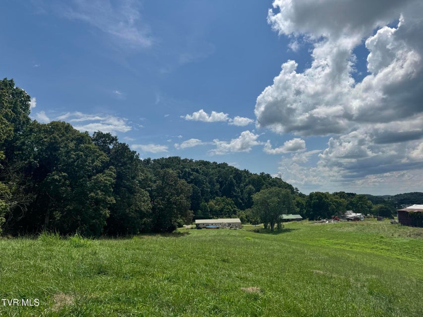Photo #12: 0 Old Knoxville Hwy Highway