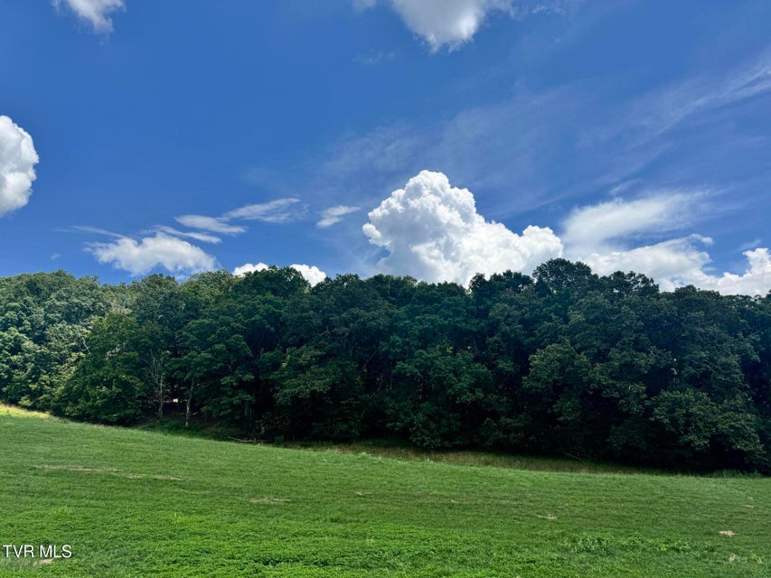 Photo #9: 0 Old Knoxville Hwy Highway