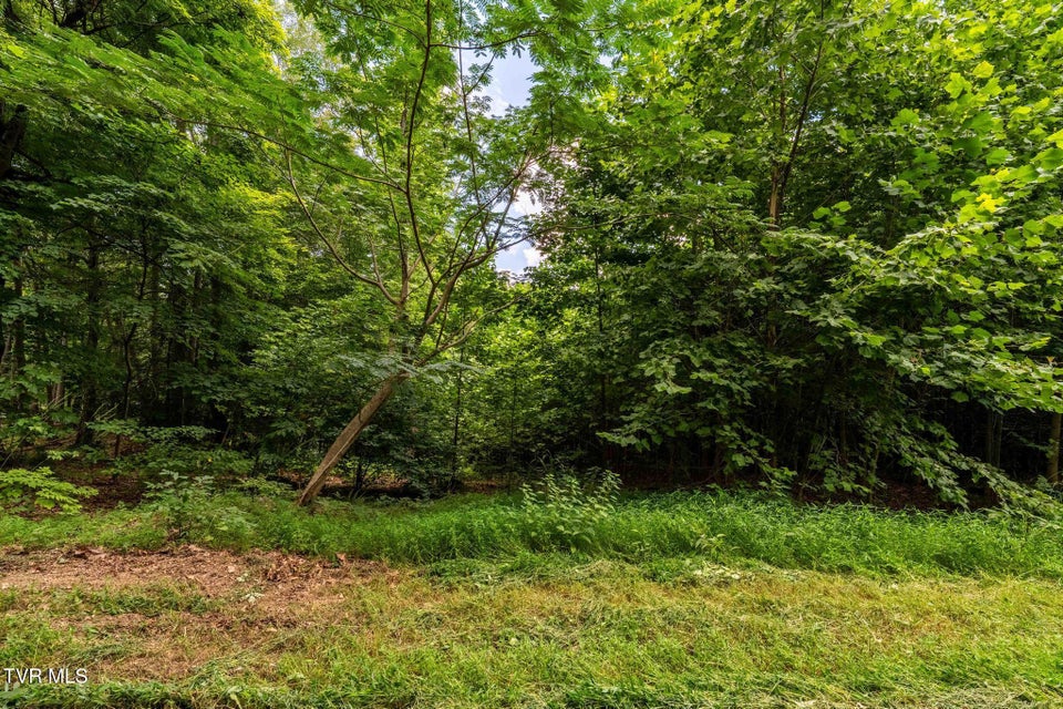 Photo #15: Tbd Fairway Point