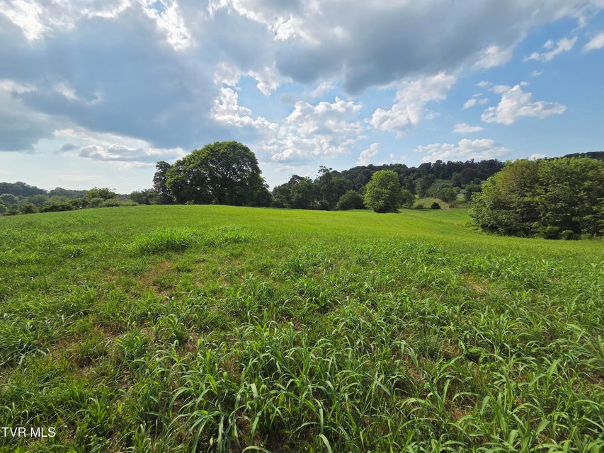 Photo #2: 825 Old Boones Creek Road