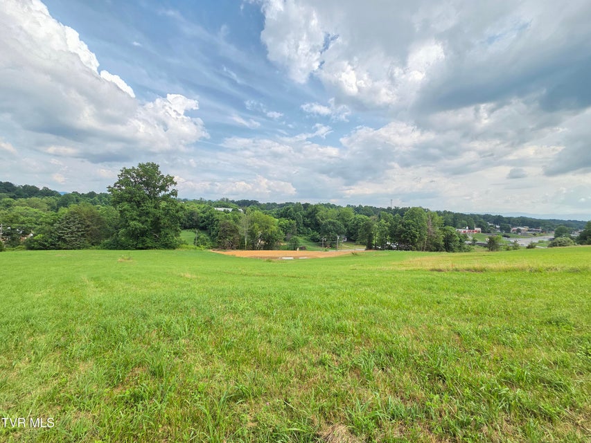 Photo #3: 825 Old Boones Creek Road