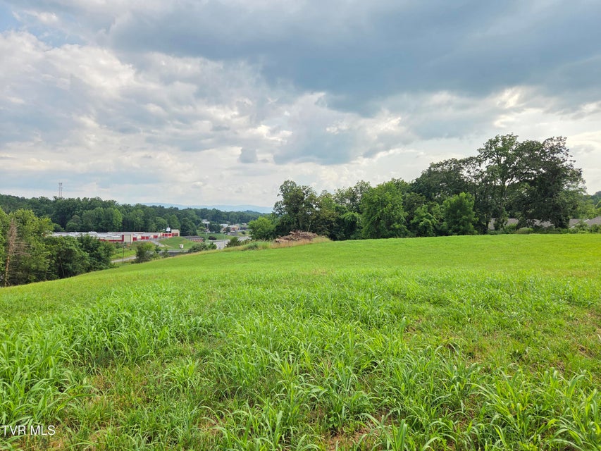 Photo #4: 825 Old Boones Creek Road