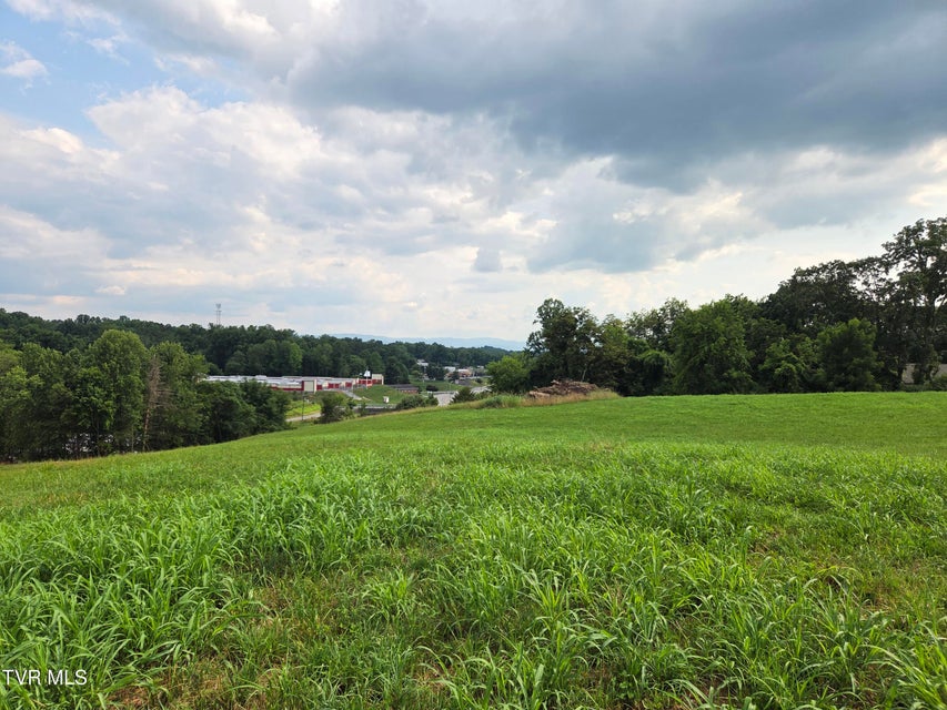 Photo #6: 825 Old Boones Creek Road