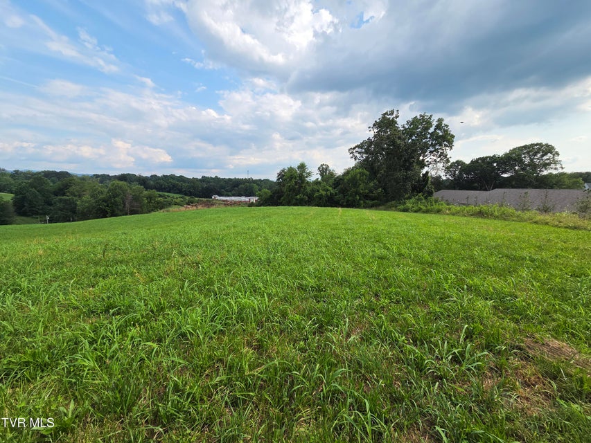 Photo #7: 825 Old Boones Creek Road