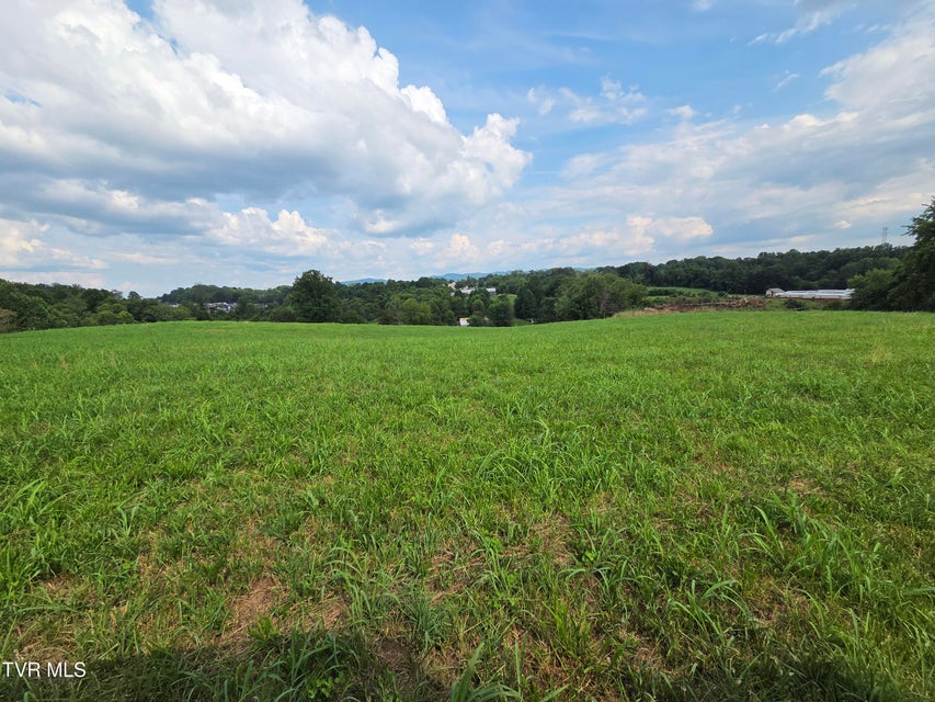 Photo #8: 825 Old Boones Creek Road