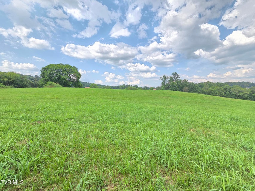 Photo #9: 825 Old Boones Creek Road