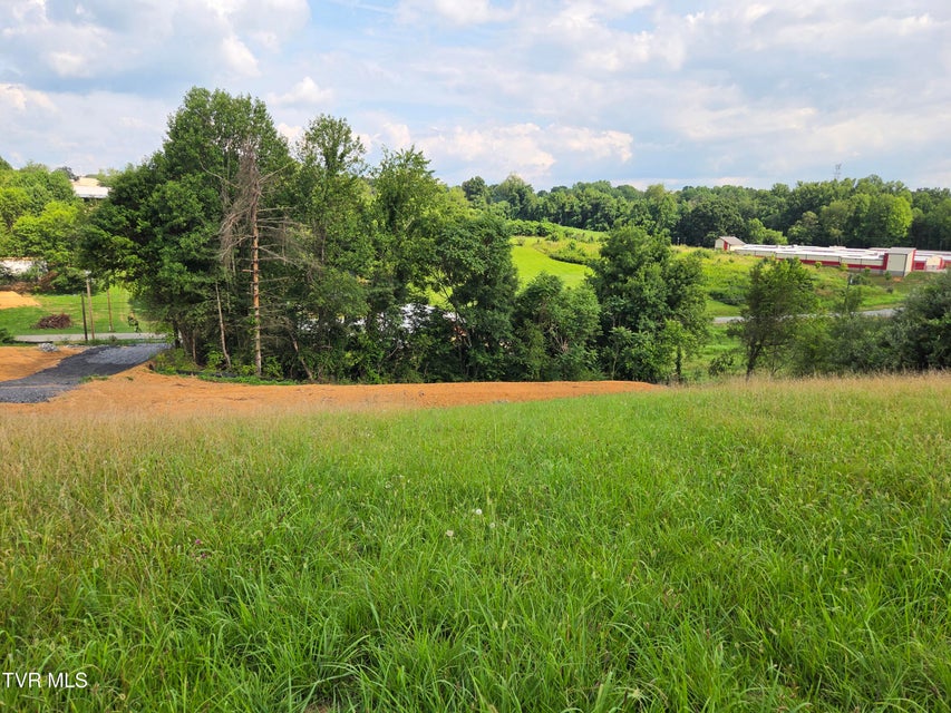 Photo #11: 825 Old Boones Creek Road