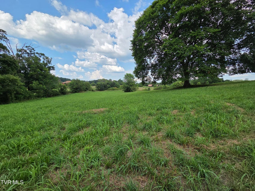 Photo #13: 825 Old Boones Creek Road