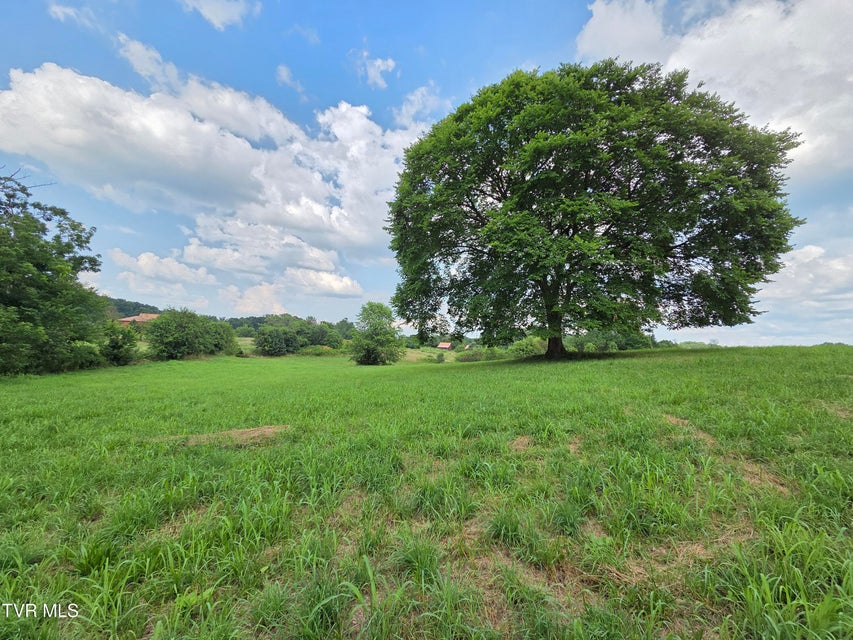 Photo #14: 825 Old Boones Creek Road