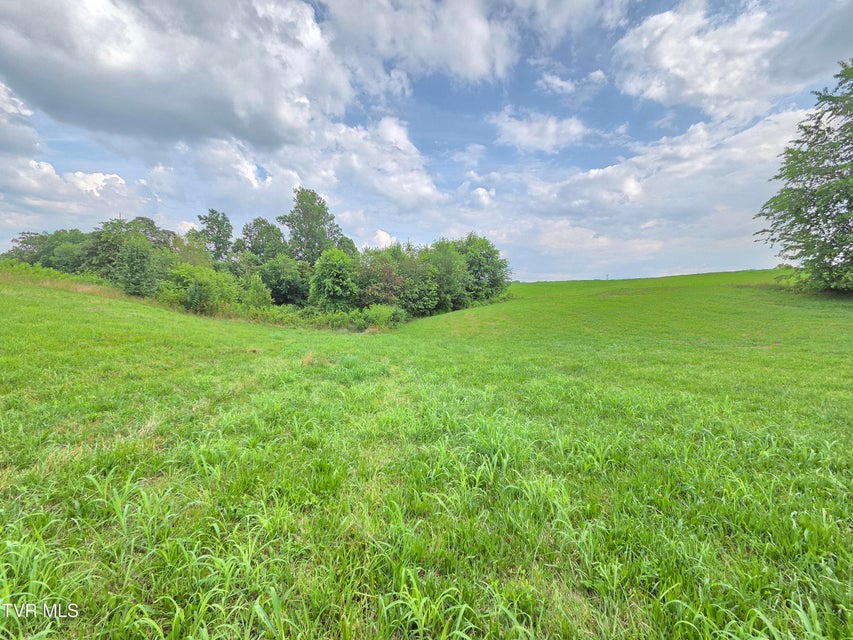 Photo #15: 825 Old Boones Creek Road