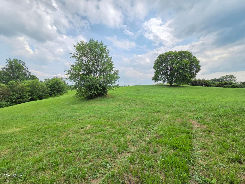 Photo #16: 825 Old Boones Creek Road