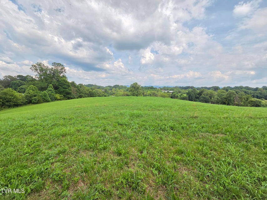 Photo #17: 825 Old Boones Creek Road