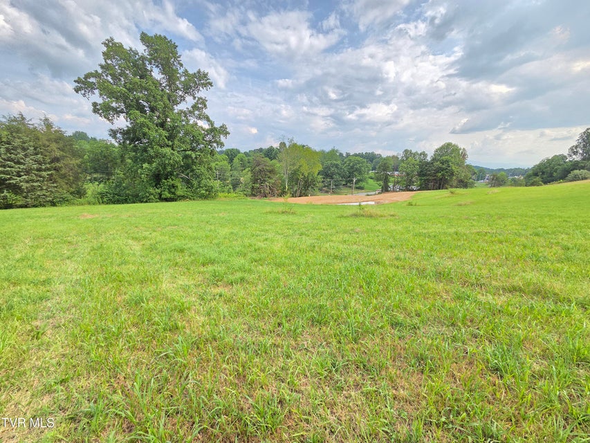 Photo #18: 825 Old Boones Creek Road