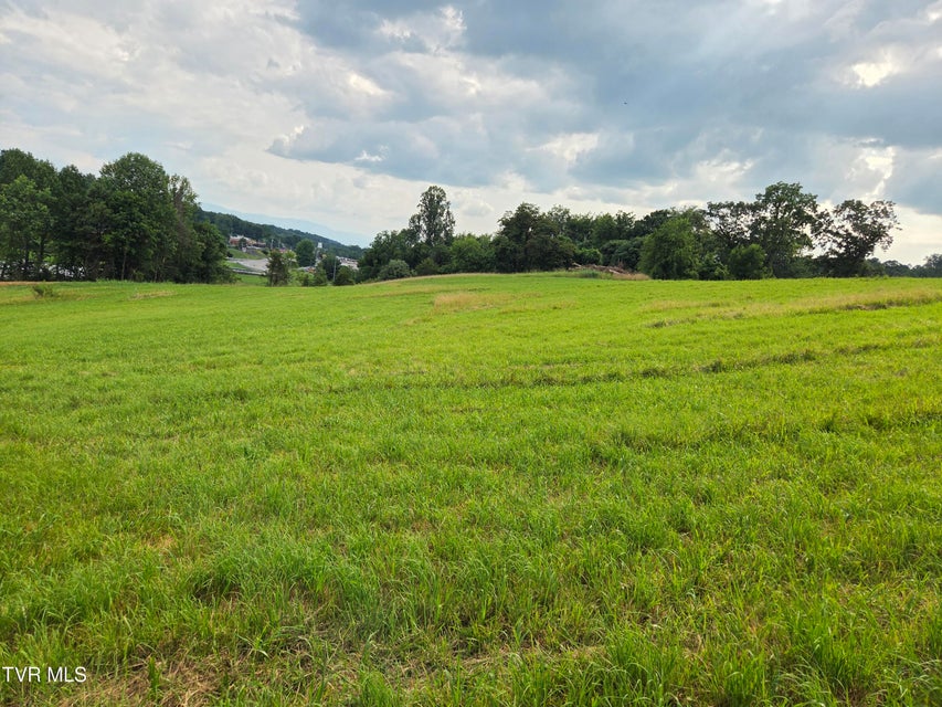 Photo #19: 825 Old Boones Creek Road