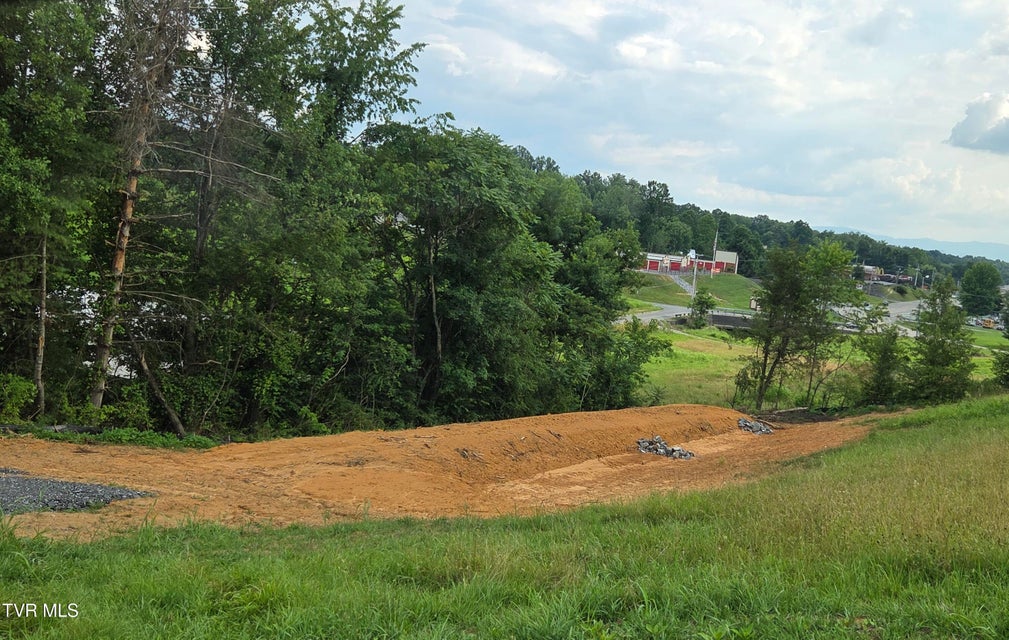 Photo #20: 825 Old Boones Creek Road