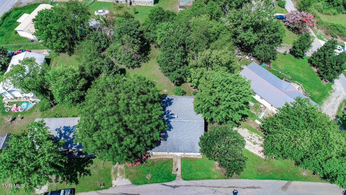 Photo #34: 141 Hiola St