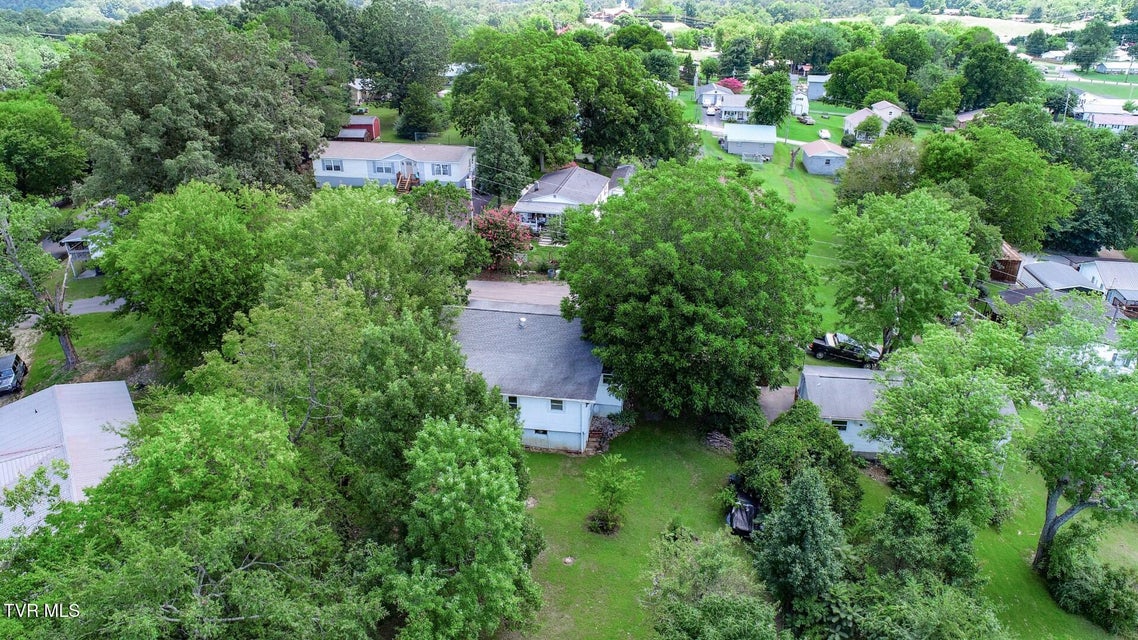Photo #35: 141 Hiola St