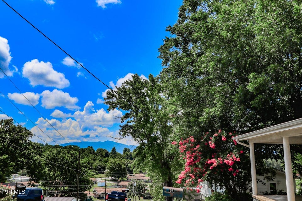 Photo #39: 141 Hiola St