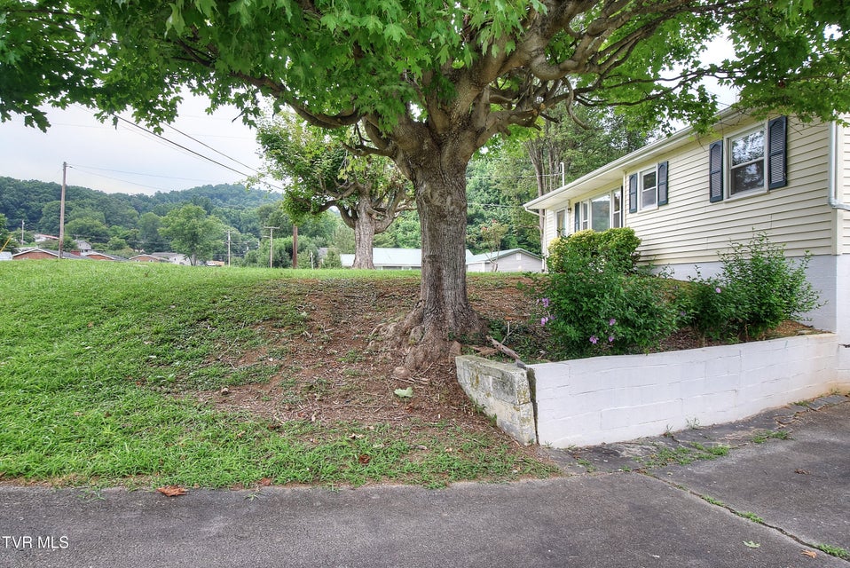Photo #3: 1119 Ledford Street