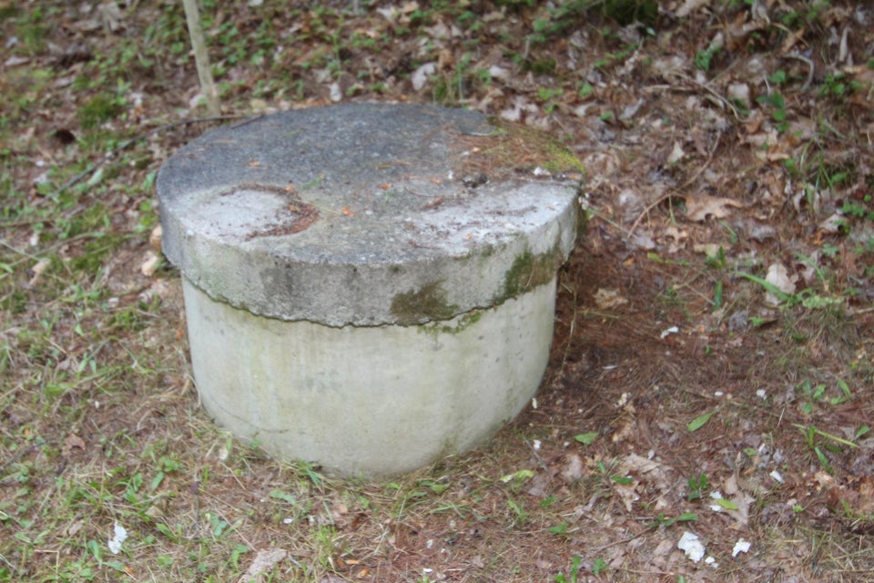 Photo #67: 2121 Shingletown Road