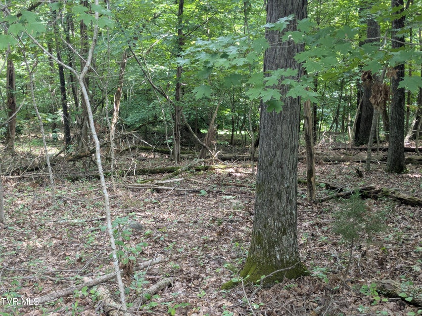 Photo #4: 412 Haw Ridge E. Road