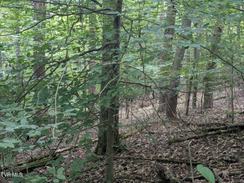 Photo #5: 412 Haw Ridge E. Road